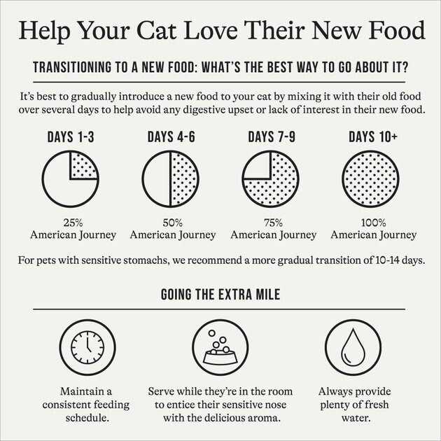 Salmon Grain-Free Dry Cat Food D75875