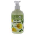 Citrus and Green Tea 8.3 oz Hand and Body Lotion T2164