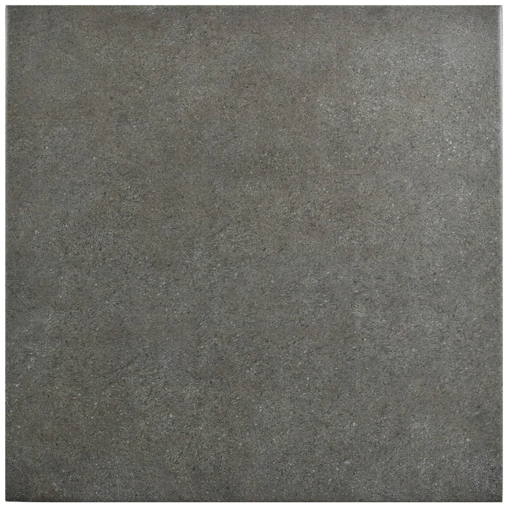 9.75x22 Porcelain Floor and Wall Tile H418