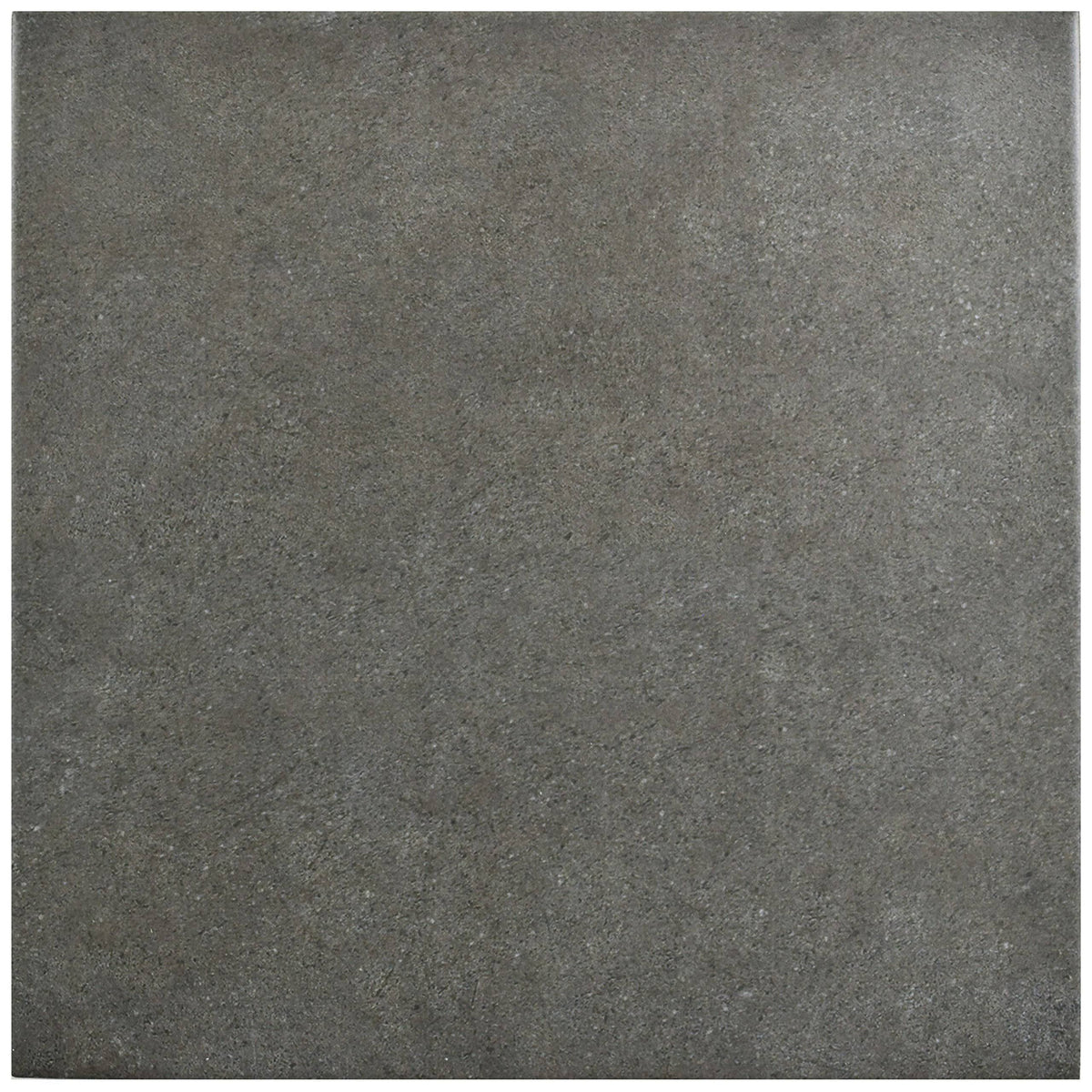 9.75x22 Porcelain Floor and Wall Tile H418