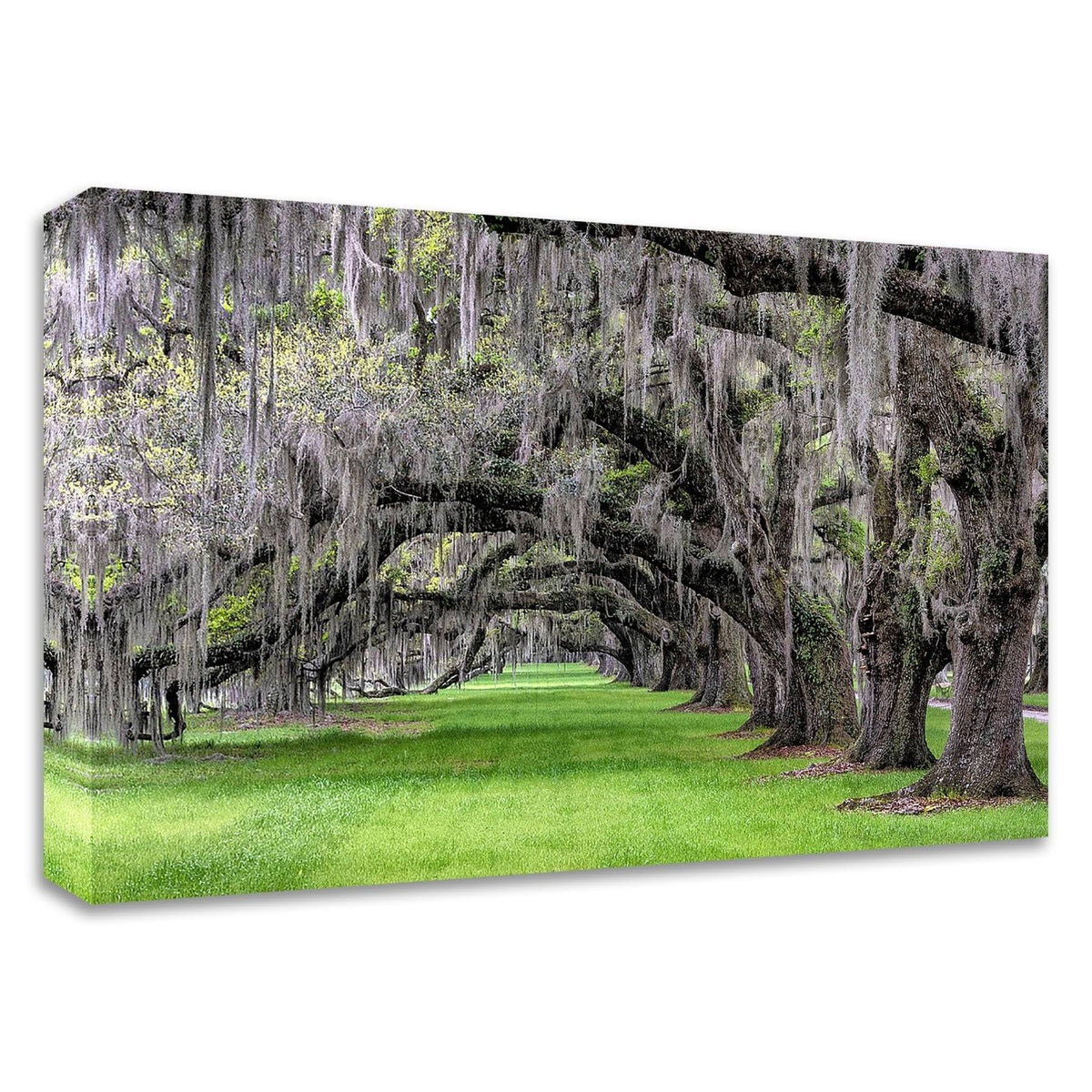 24x22 x 36x22 Print on Canvas J294701