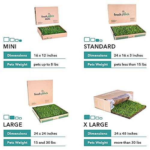 Large Real Grass Pee and Potty Training Pad for Dogs 15 to 30 pounds C9224