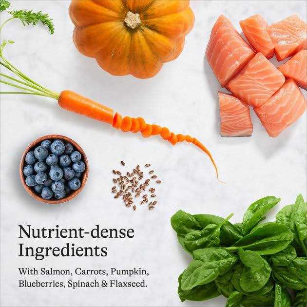 Salmon Grain-Free Dry Cat Food D75875
