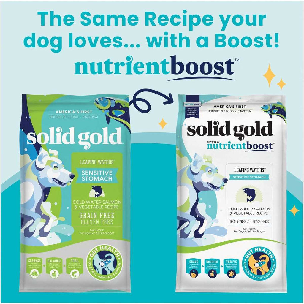 Dry Dog Food S1406