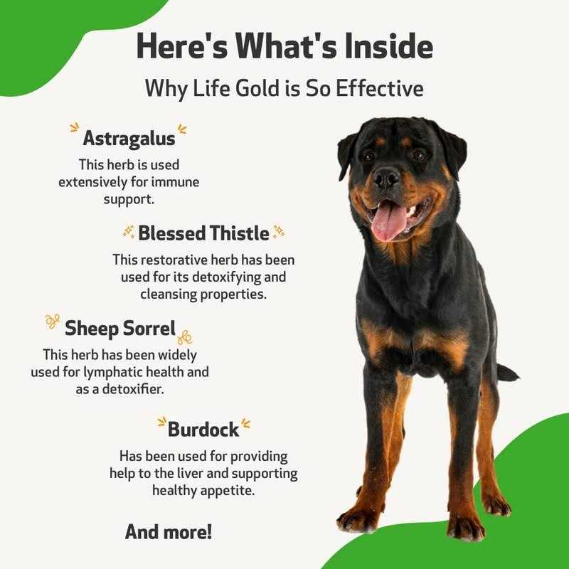 Pet Wellbeing Life Gold for Dogs F431