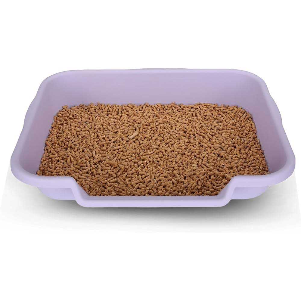 Senior Cat Litter Box G885029