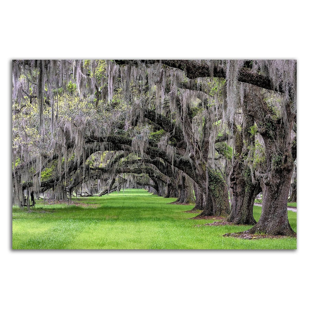 24x22 x 36x22 Print on Canvas J294701