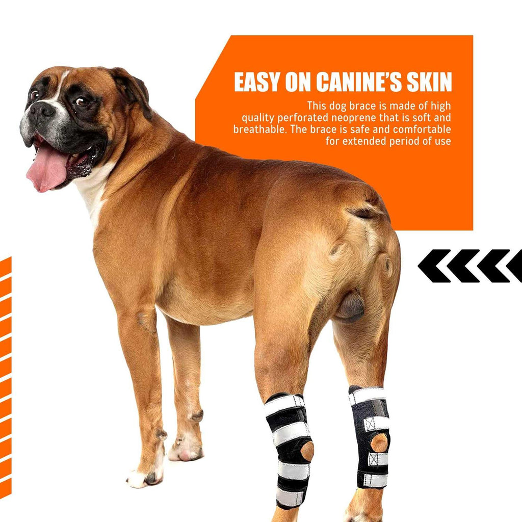 3-in-1 Long Rear Leg Support Dog Splint Braces B411404
