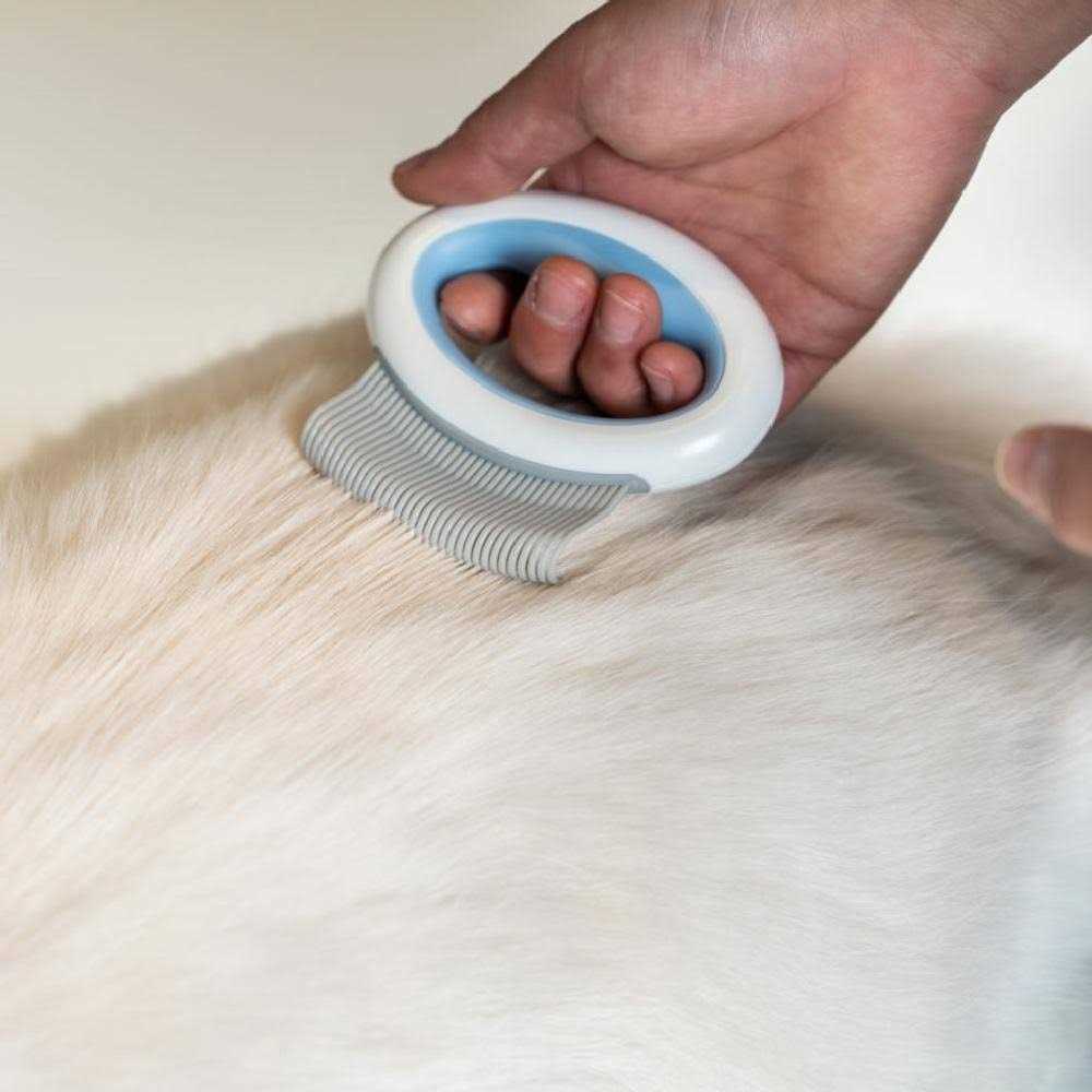Flexible Grooming Pet Rake Comb P77561