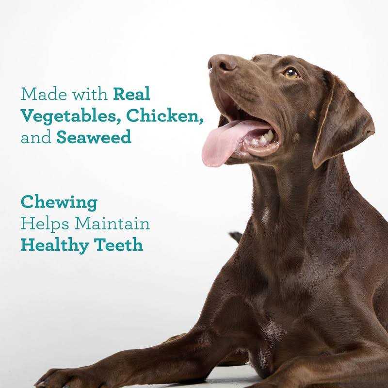 Dental Sticks W78762