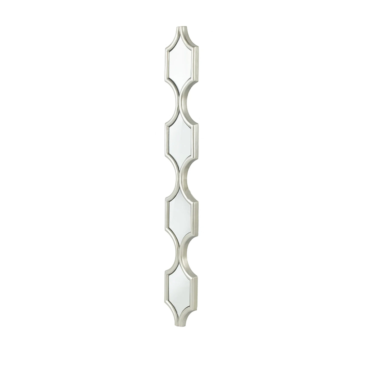 Silver Long Narrow Wall Mirror D980727