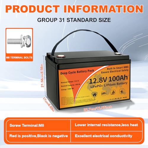 12V 100Ah LiFePO4 Lithium Battery Z876816