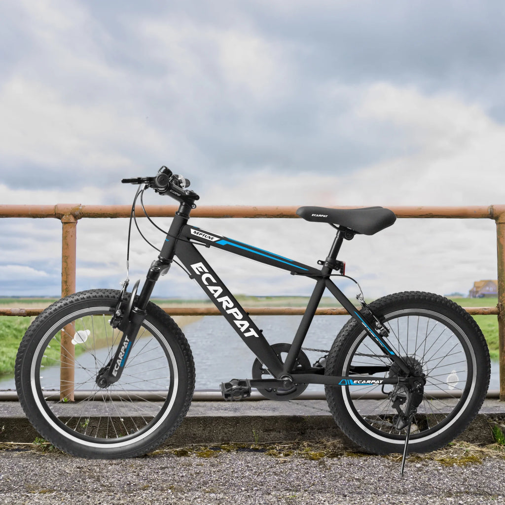 20 Inch 7 Speed Kids Bike R705231
