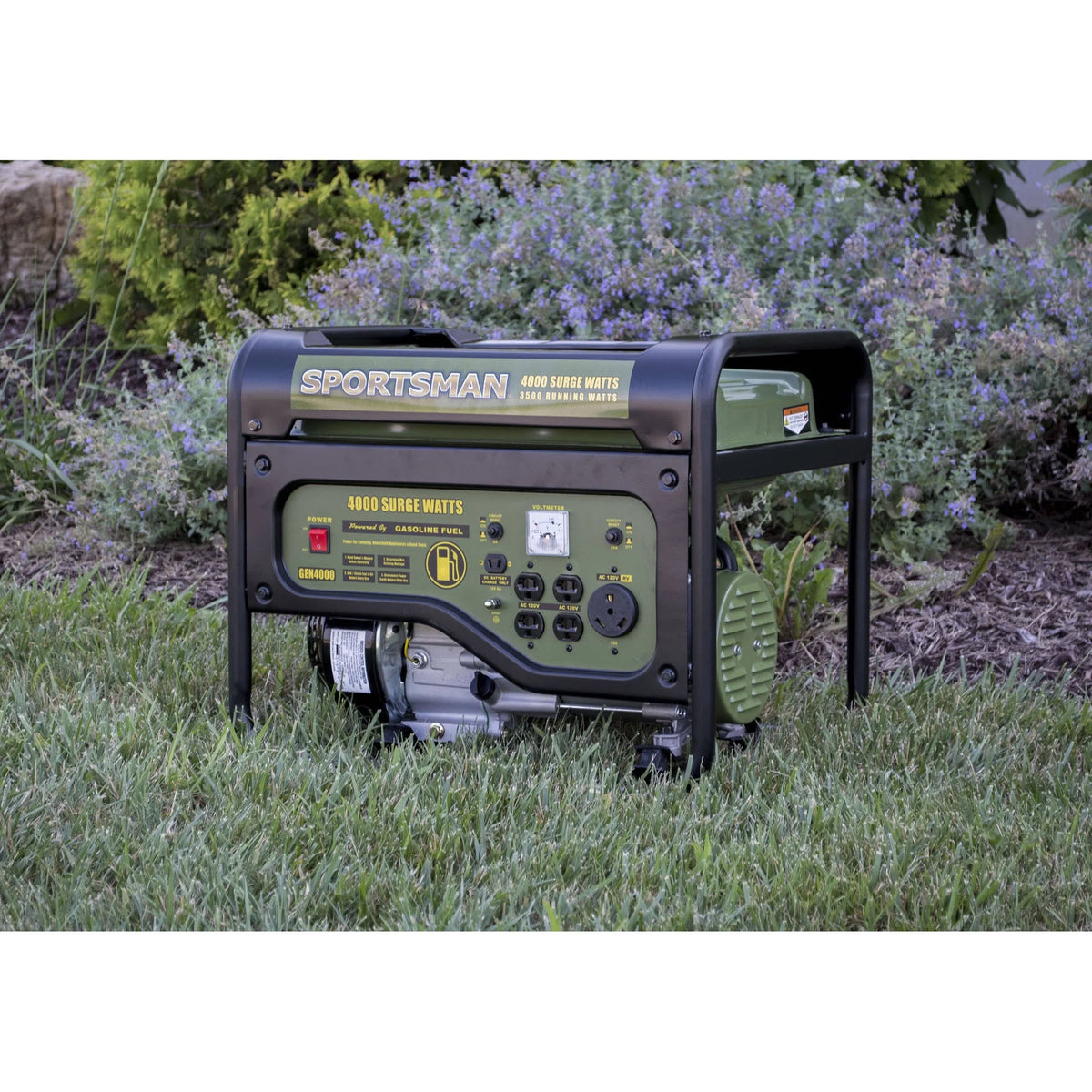 4000W Portable Generator N821