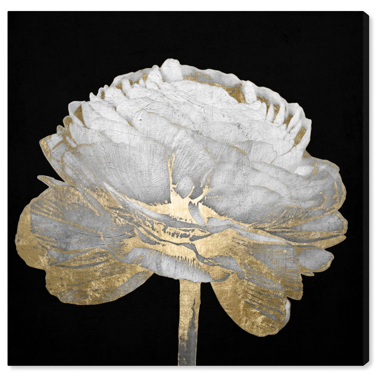 Black Gold Floral Canvas H156732