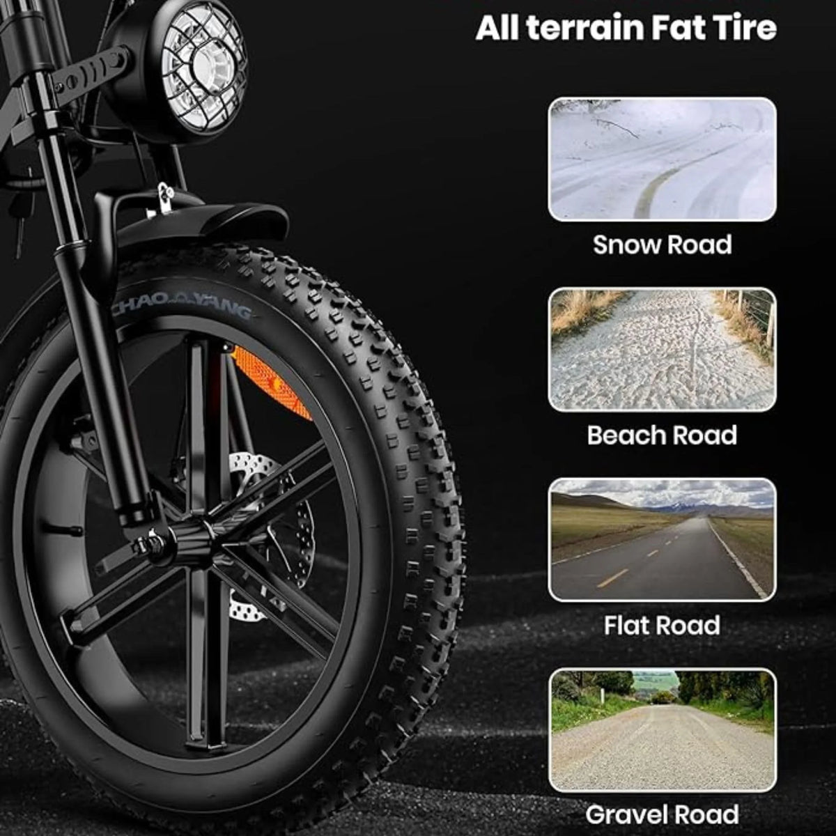 20" Fat Tire 750W Electric Bike with 48V 15AH Removable Battery D155