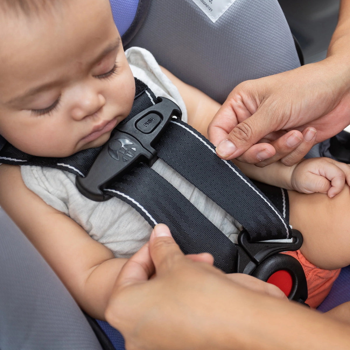 Infant Car Seat D578848