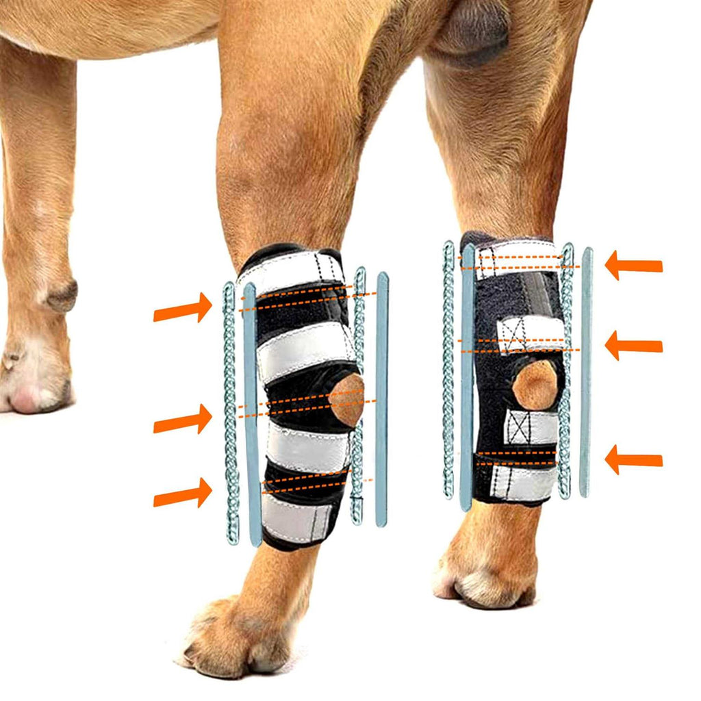 3-in-1 Long Rear Leg Support Dog Splint Braces B411404