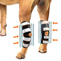 3-in-1 Long Rear Leg Support Dog Splint Braces B411404