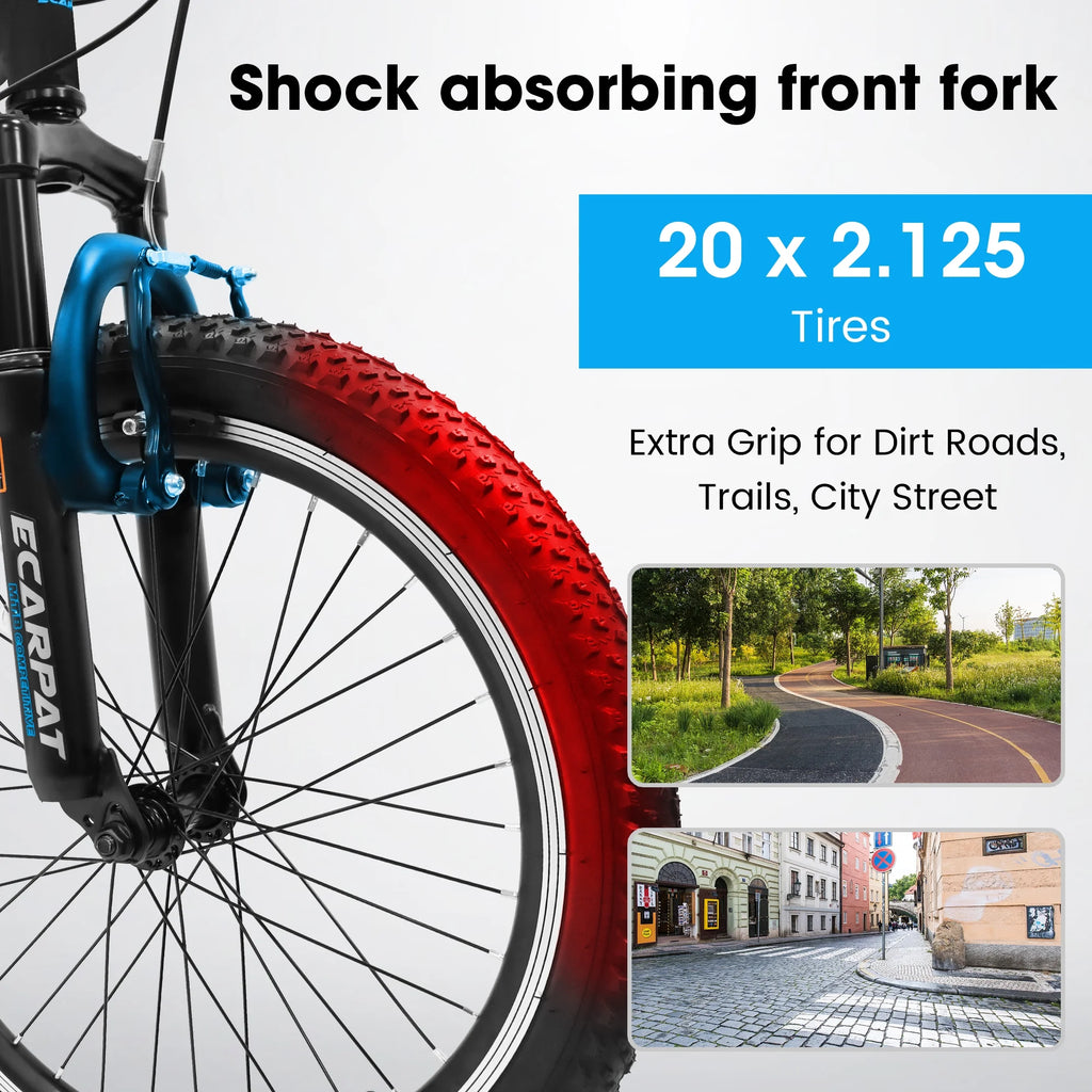 20 Inch 7 Speed Kids Bike R705231