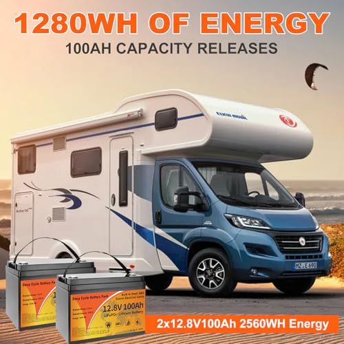 12V 100Ah LiFePO4 Lithium Battery Z876816