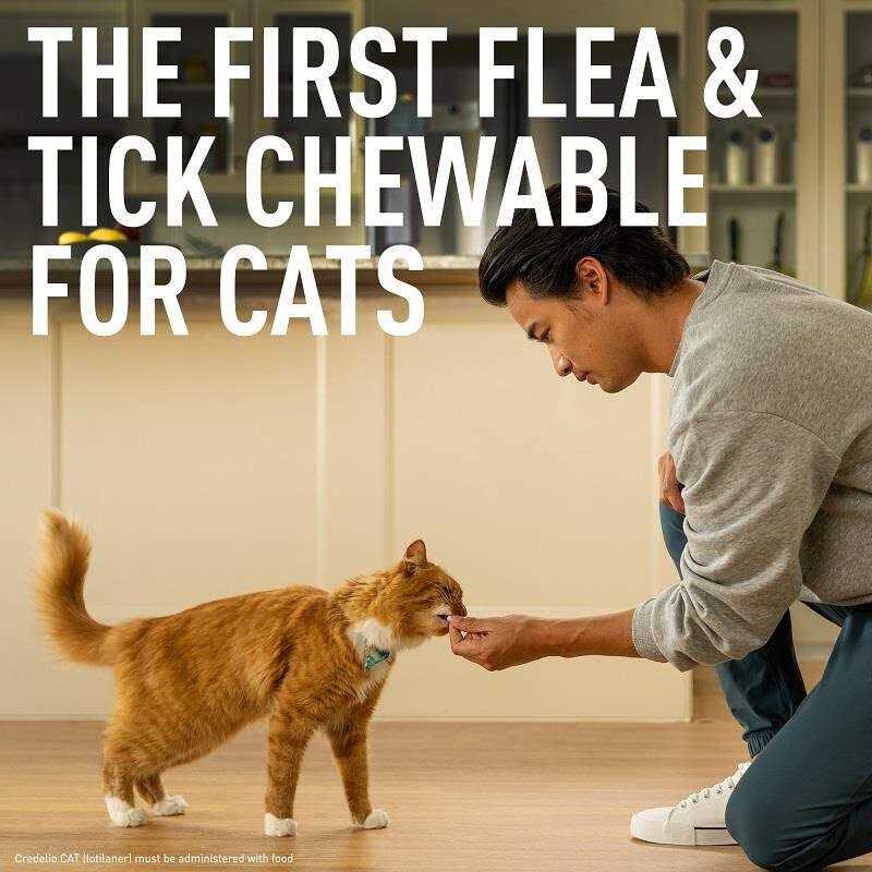 Credelio for Cats R8011