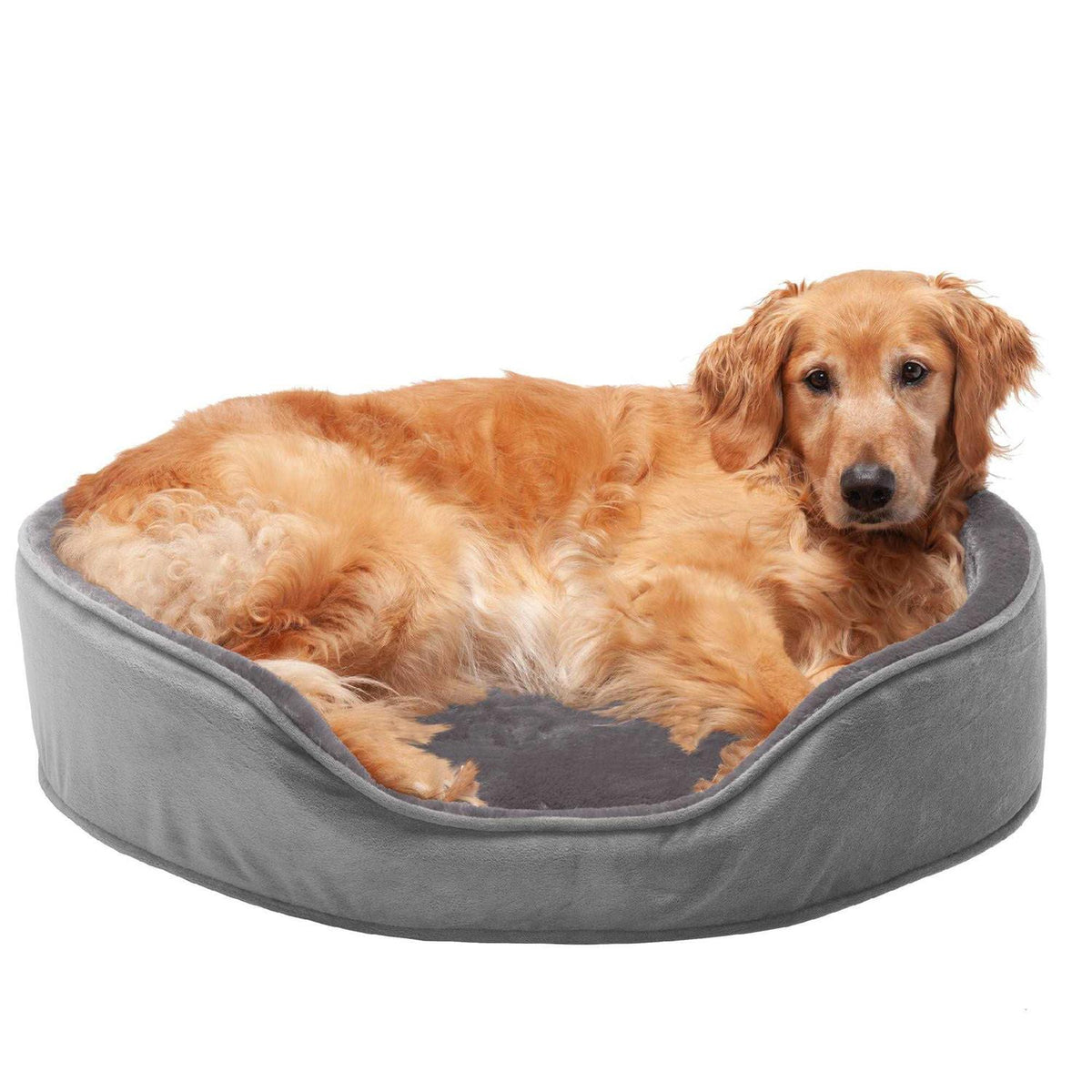 Velvet Oval Dog Bed U17269