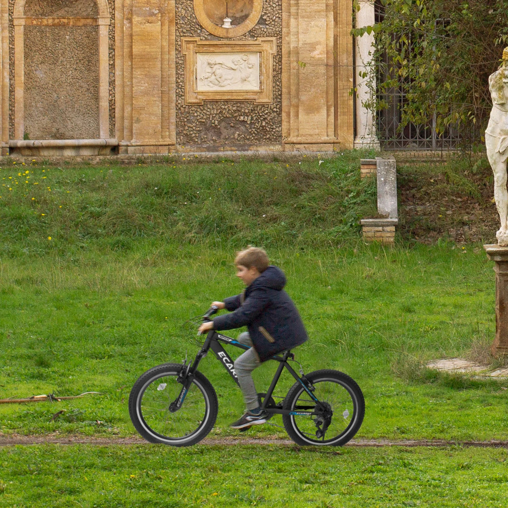 20 Inch 7 Speed Kids Bike R705231