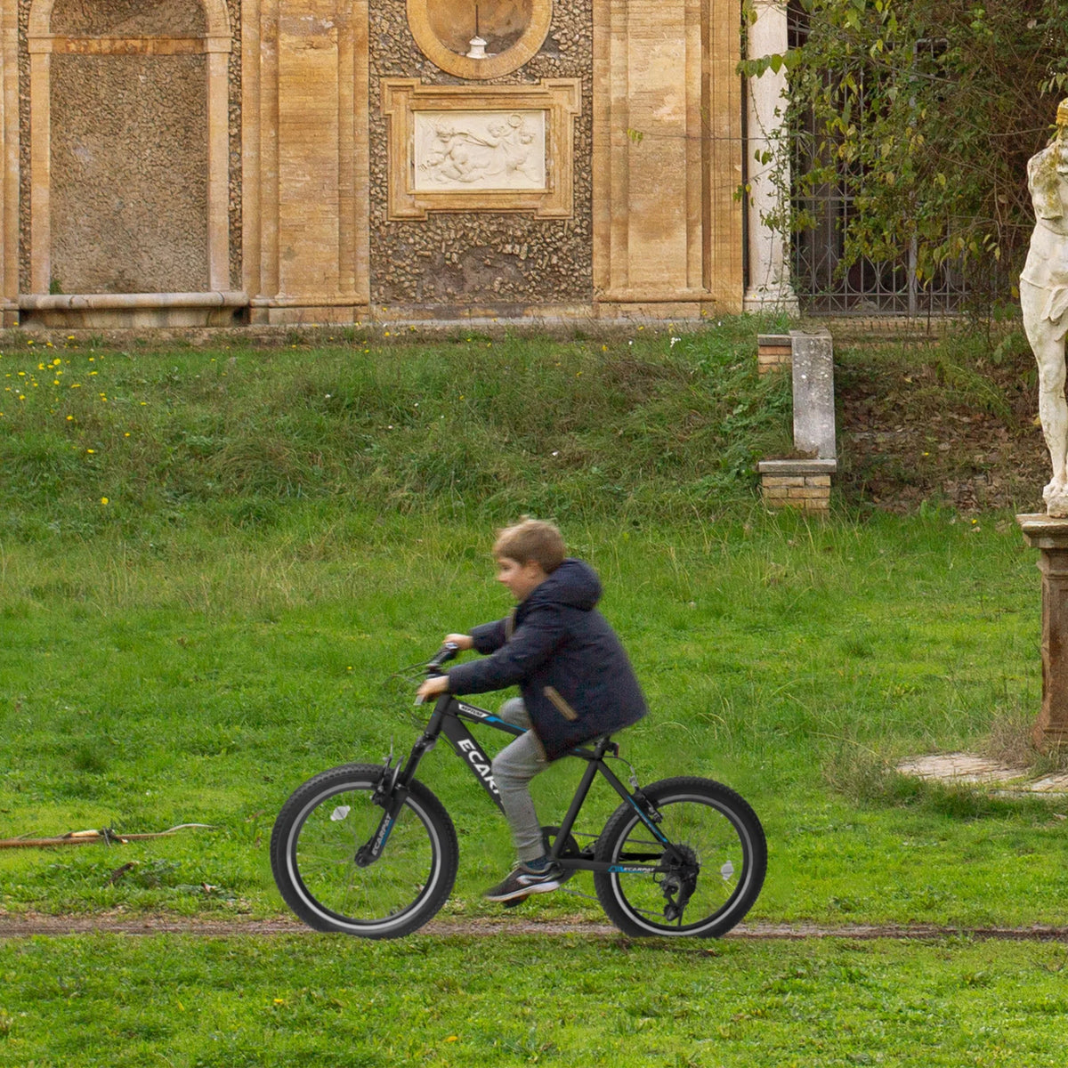 20 Inch 7 Speed Kids Bike R705231