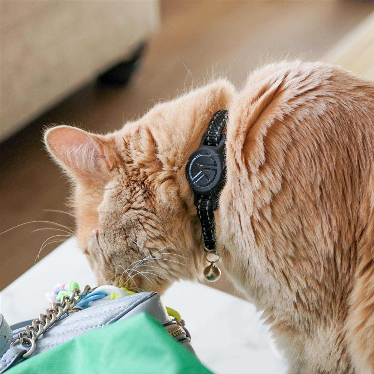 Breakaway Reflective Cat Collar with Tile Sticker Holder and Bell T718779