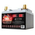 AGM Battery Motorcycle BTX30L V413687