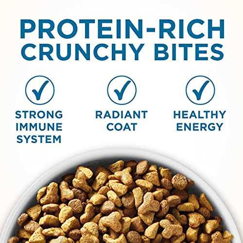 High Protein Natural Senior Dry Cat Food K3801