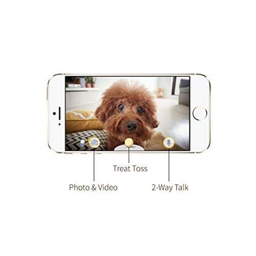 Dog Camera U522405