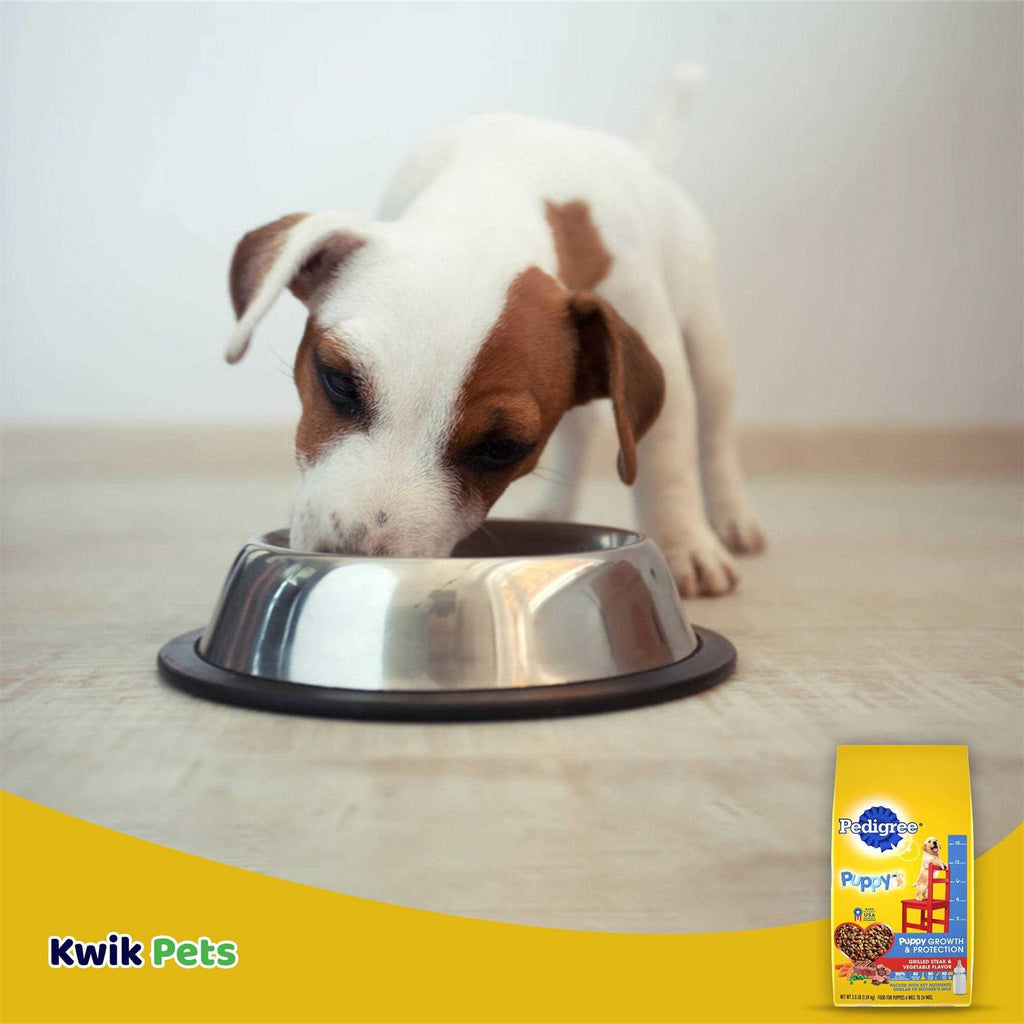 Dry Dog Food Vegetable Flavor F282