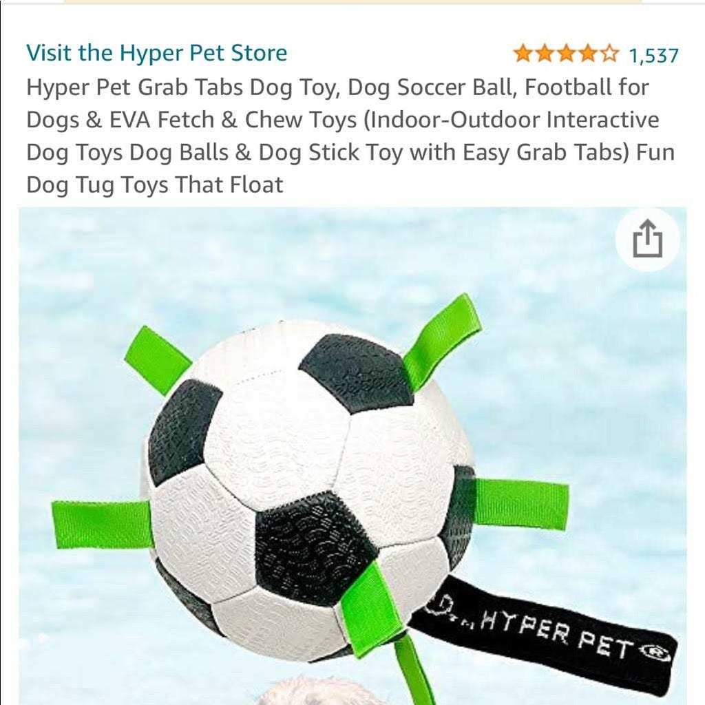 Soccer Ball Dog Toy X9810