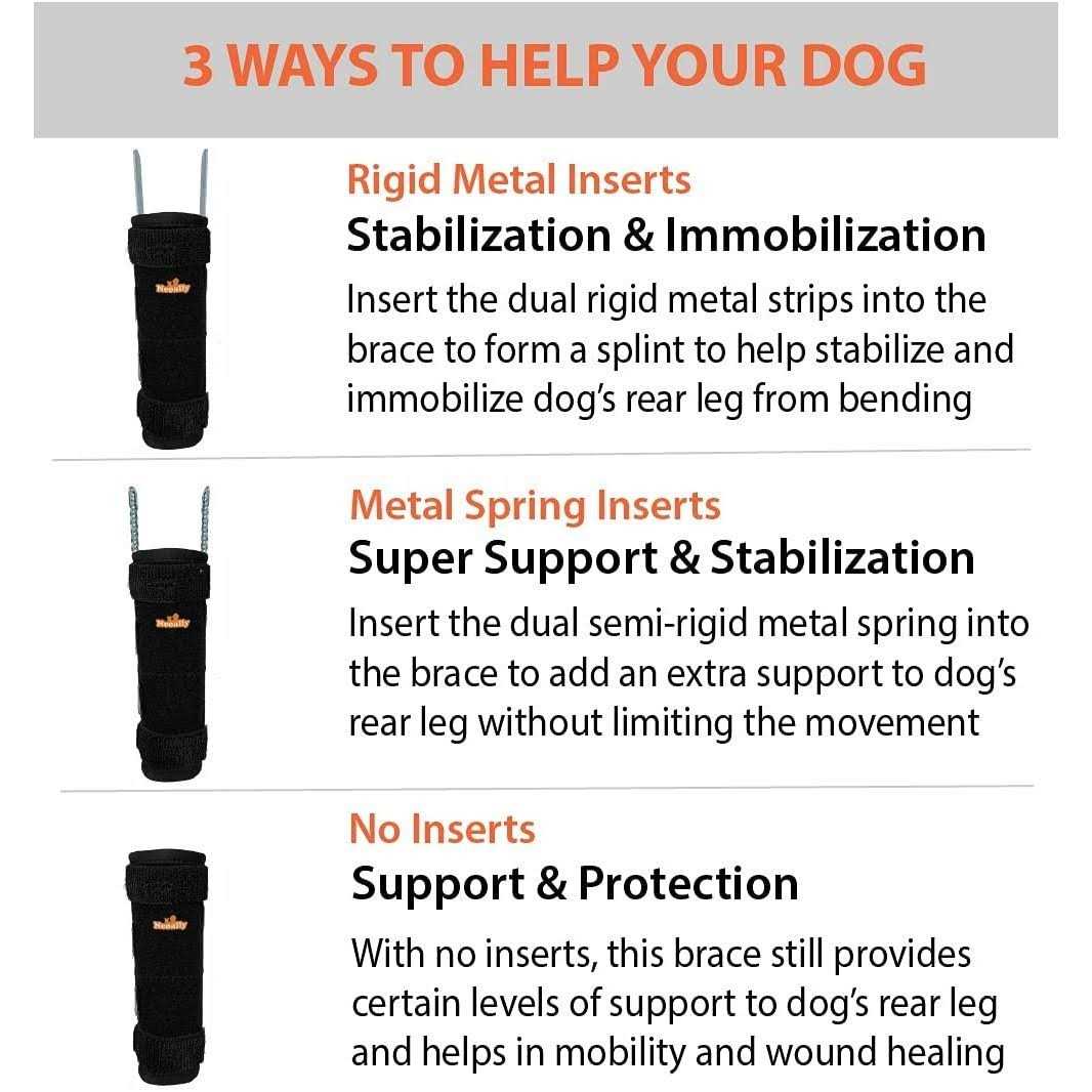 3-in-1 Long Rear Leg Support Dog Splint Braces B411404