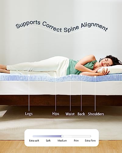 3 Inch Queen Memory Foam Mattress Topper G319
