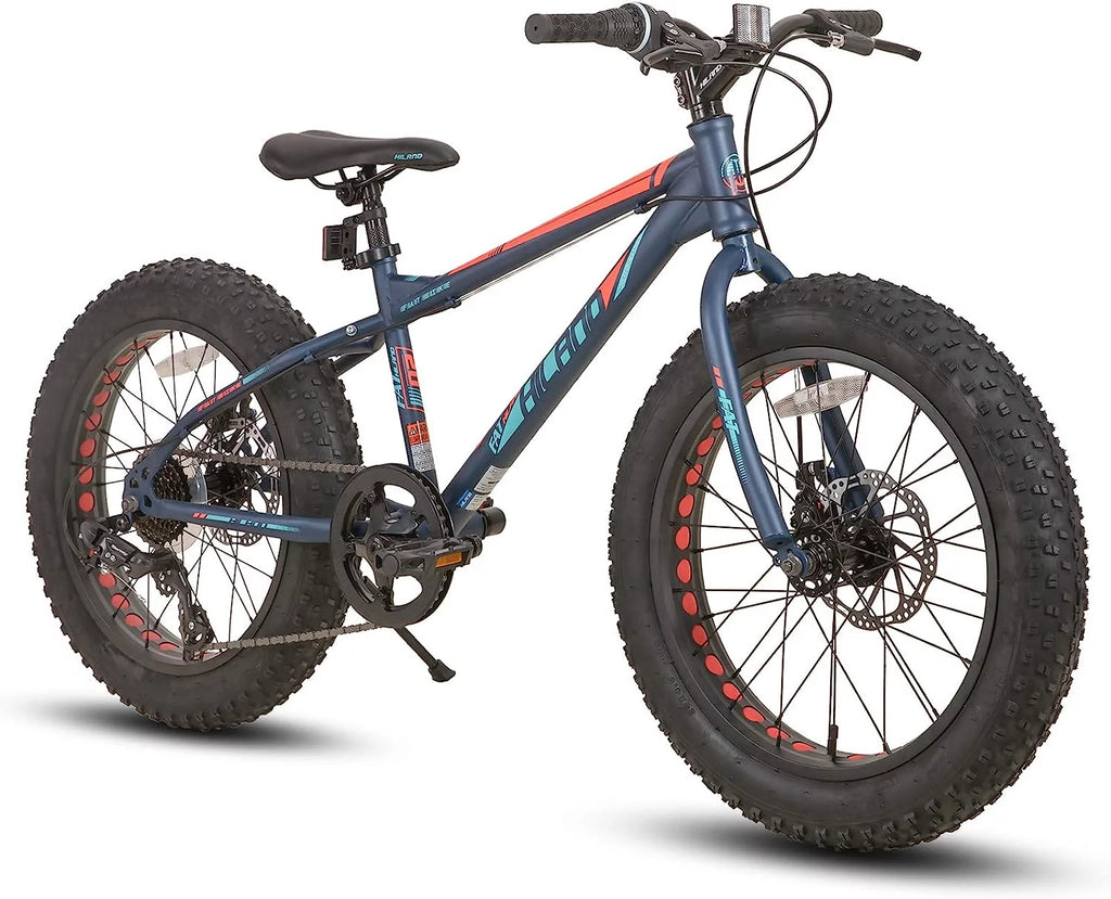20 inch Kids Fat Tire Mountain Bike B582
