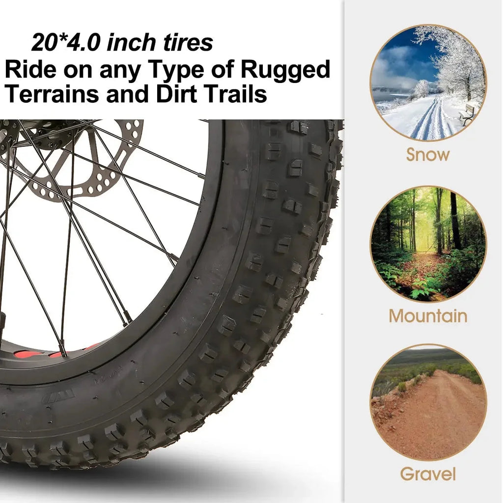 20 inch Kids Fat Tire Mountain Bike B582