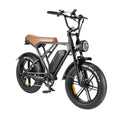 20" Fat Tire 750W Electric Bike with 48V 15AH Removable Battery D155