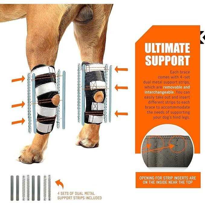 3-in-1 Long Rear Leg Support Dog Splint Braces B411404