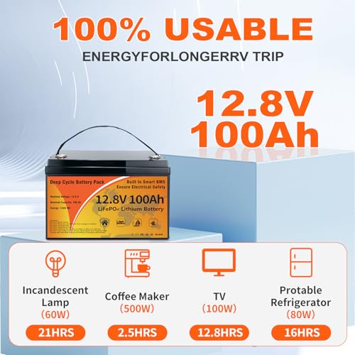 12V 100Ah LiFePO4 Lithium Battery Z876816