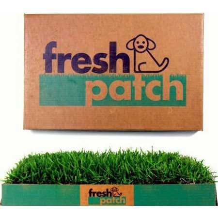 Large Real Grass Pee and Potty Training Pad for Dogs 15 to 30 pounds C9224