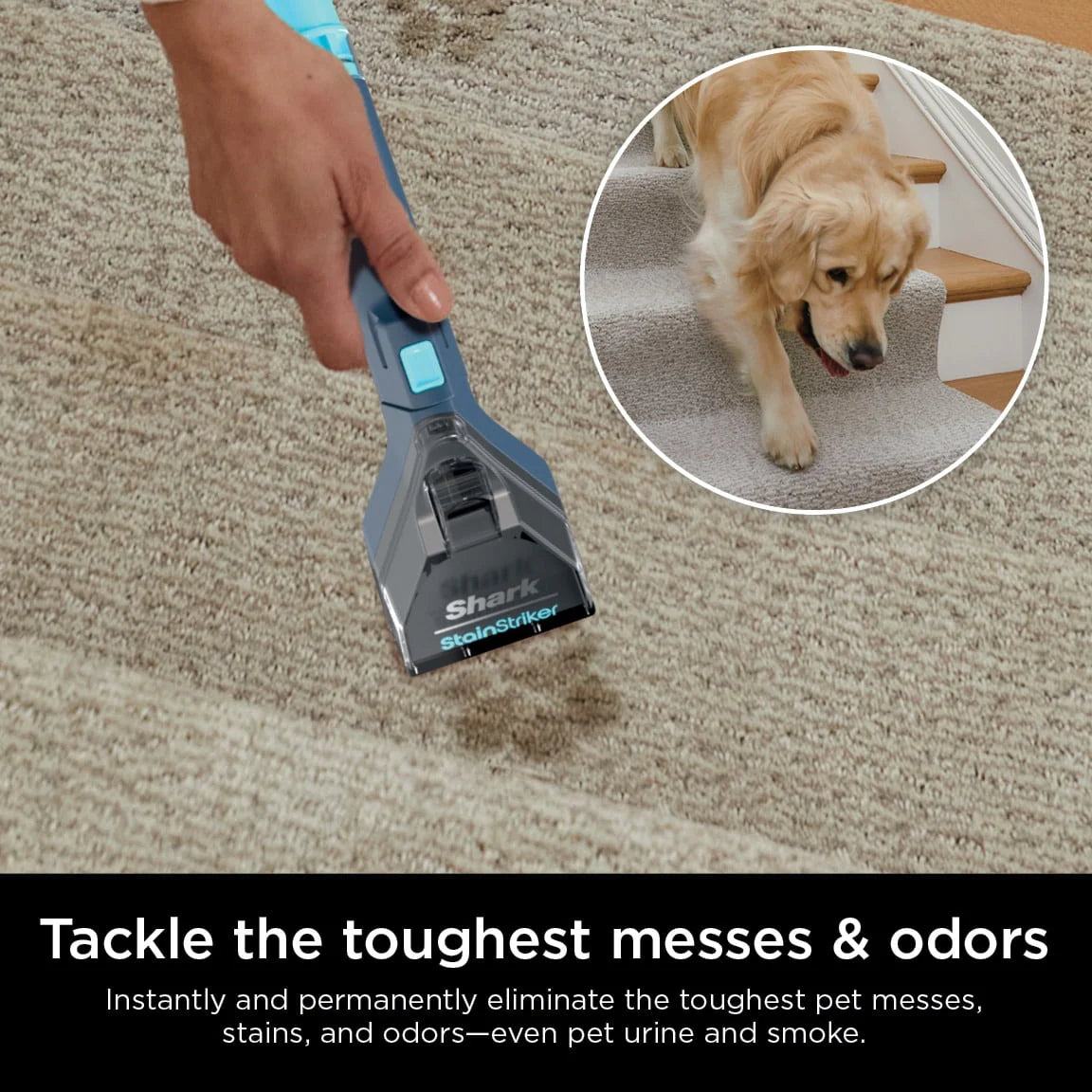 Portable Carpet & Upholstery Cleaner M9258