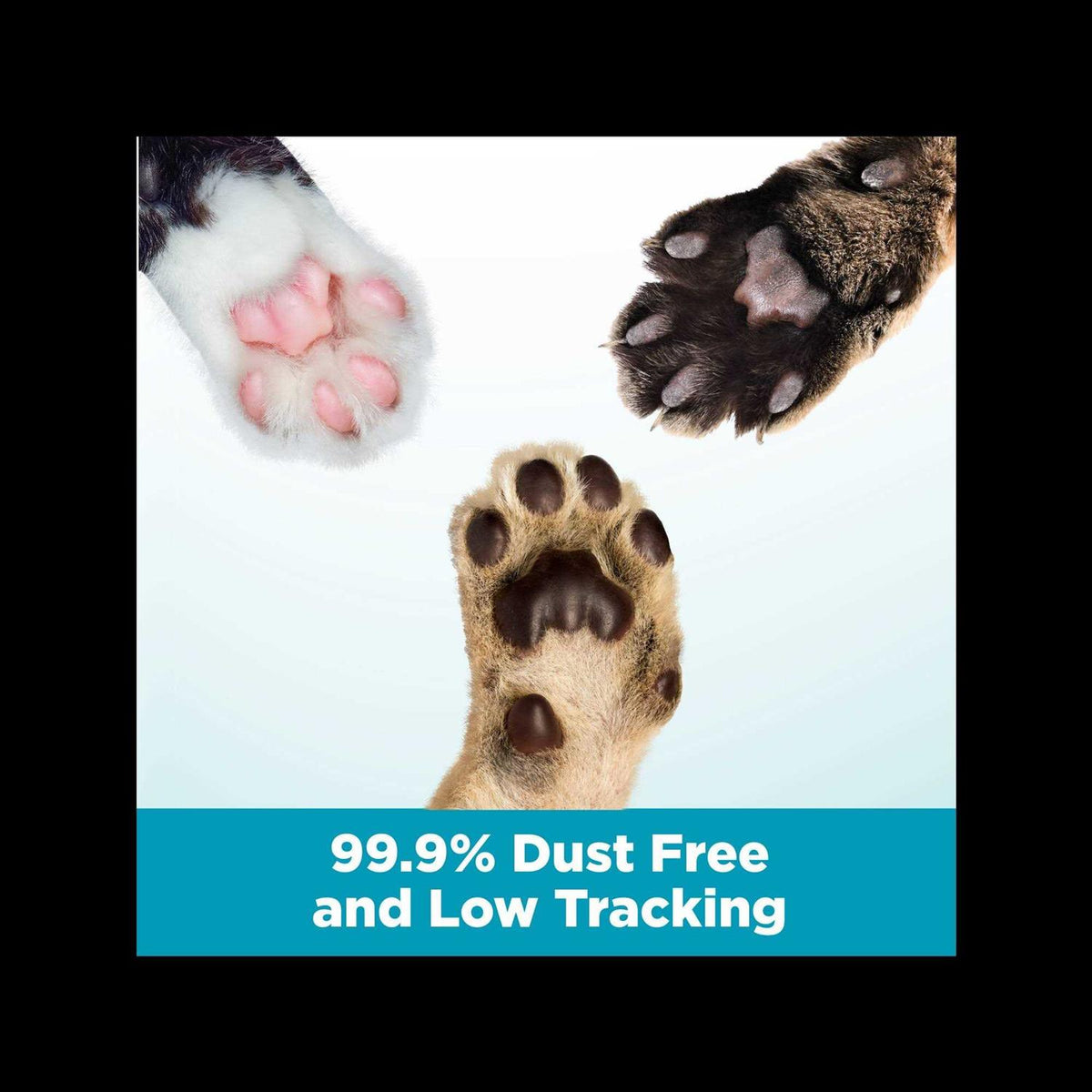Clumping Multi-Cat Litter C5016