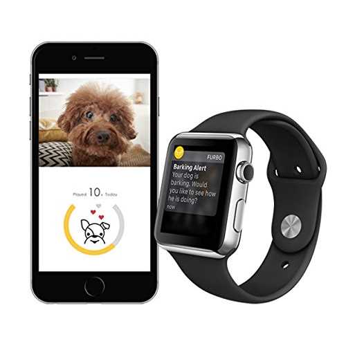 Dog Camera U522405