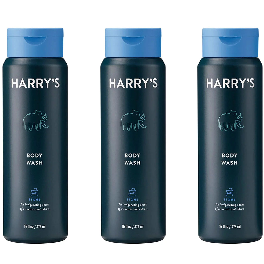 Men’s Body Wash, Stone Scent, 16 Fluid Ounce (Pack of 3) A51302