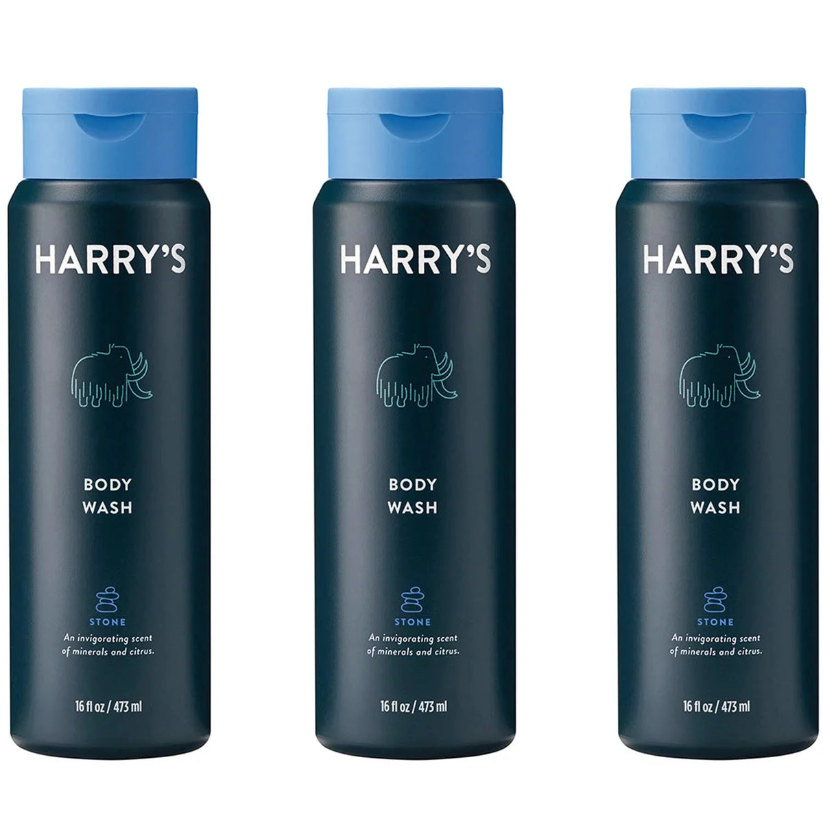 Men’s Body Wash, Stone Scent, 16 Fluid Ounce (Pack of 3) A51302