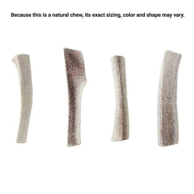 Elk Antler Split Dog Chew H799374