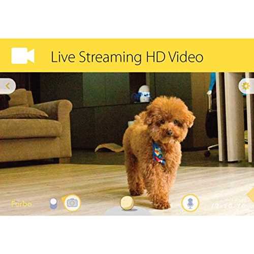 Dog Camera U522405